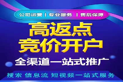 百度推广返点收益分析：案例对比与优化